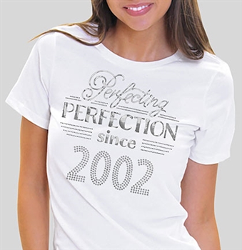 Pefecting Perfection Since 2002 T-Shirt